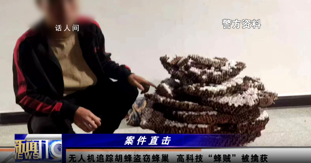 兩男子偷價值4600余元胡蜂蜂巢被拘 案件正在進一步偵辦中