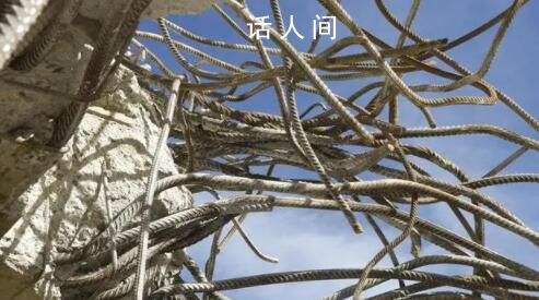 坍塌體育館系干部開發 弟弟疑涉黑