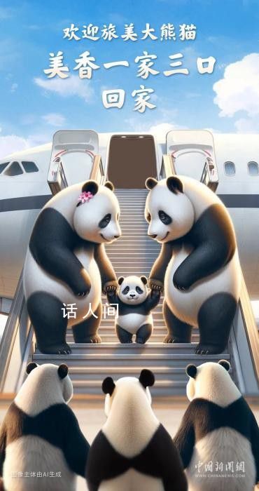 旅美大熊貓美香添添小奇跡已回國 抵達四川成都雙流國際機場