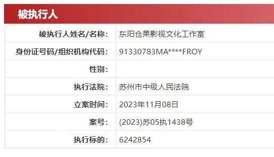 許晴獨資工作室被執行624萬 涉及合同糾紛案件