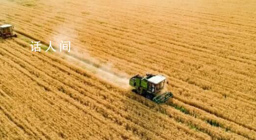 筑牢中國(guó)糧食安全“壓艙石” 進(jìn)一步確保中國(guó)人牢牢端住自己的飯碗