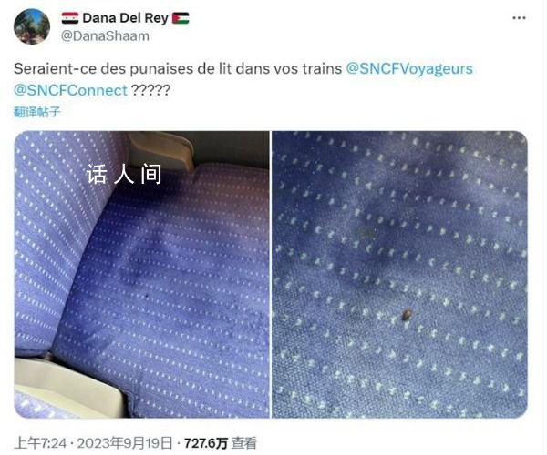 床虱危機為何席卷全球 中國香港也有了它的蹤跡