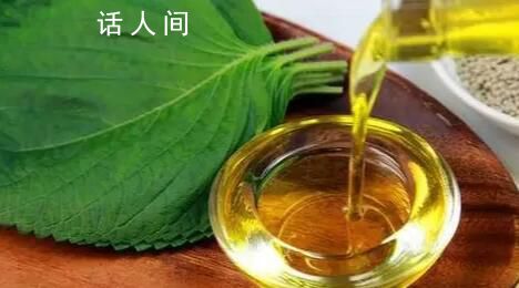 調和油不如動物油?調和油為什么不建議吃