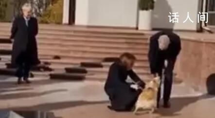 摩爾多瓦總統愛犬咬傷奧地利總統 解釋說附近人群讓她的狗受到了驚嚇