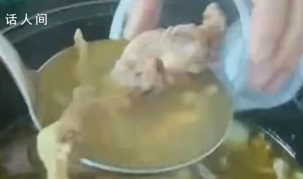 老師課上帶學生燉藥膳雞湯 網友直呼想去蹭課