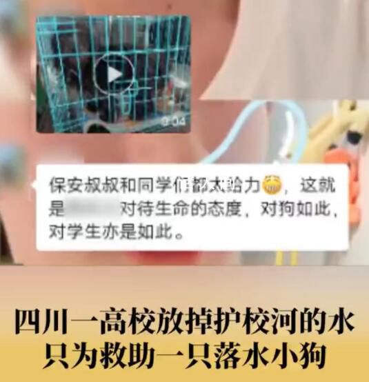 高校放掉部分護(hù)校河水救落水小狗 成功將狗狗救了出來