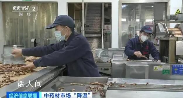 中藥材價格狂飆按下暫停鍵 為何出現(xiàn)價格回落