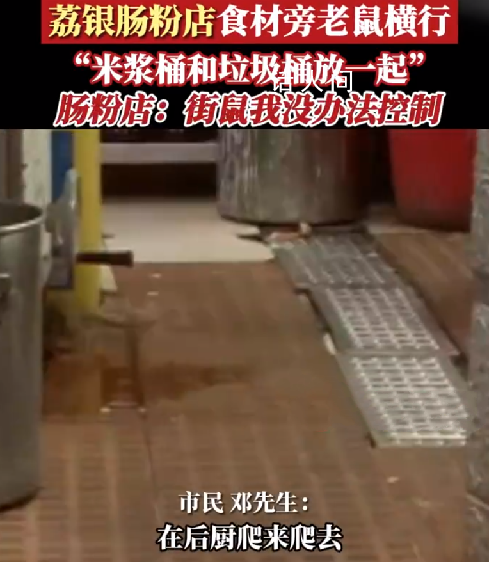 廣州一連鎖腸粉店被曝老鼠橫行 衛(wèi)生狀況十分堪憂