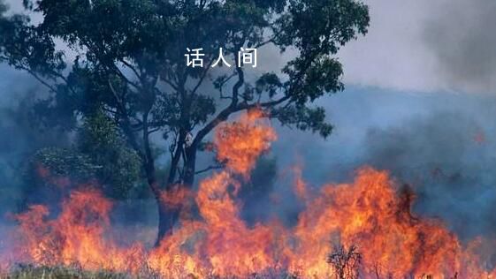南半球夏季或將面臨極端高溫天氣 降水減少引發(fā)干旱