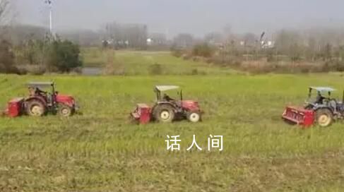 全國秋冬種進度已超98% 冬小麥面積將繼續保持穩定