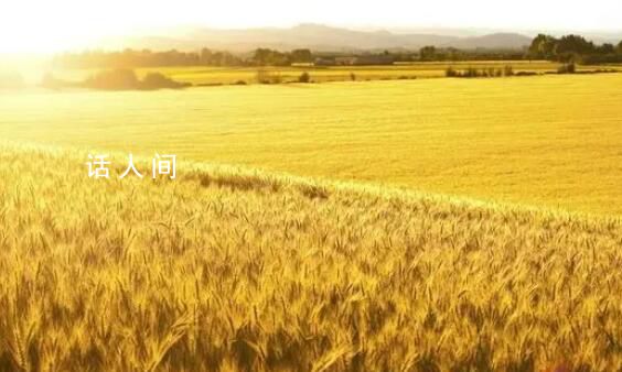 阿根廷谷物貿易幾乎癱瘓 干旱導致大豆短缺