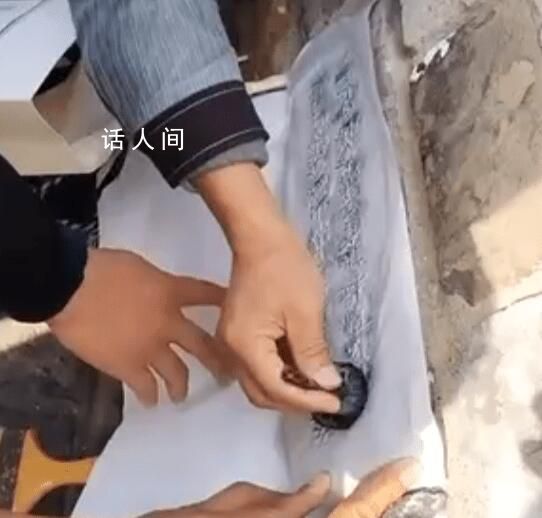 兩男子拍打拓印南京古城墻字跡 網友質疑：拓印不會損壞文物嗎