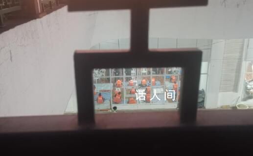 電詐人員連成一串依警還鄉(xiāng) 現(xiàn)場畫面曝光