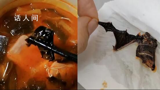 女子投訴楊國福麻辣燙吃出蝙蝠 回應(yīng)：將反饋給相關(guān)部門處理