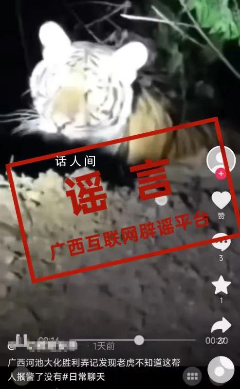 官方辟謠廣西兩地出現野生老虎 稱網傳信息不實
