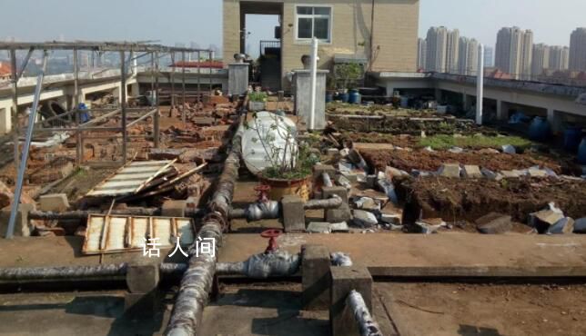 長沙老人把小區樓頂“開墾”成菜園 業主表示這種現象存在隱患應該禁止
