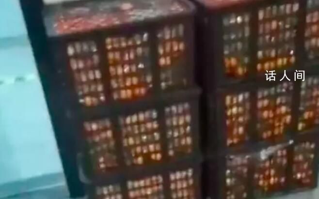 一車橘子被檢測站卸8筐僅找回4筐半 當地：保管不善遺失2件當班人員停崗處理