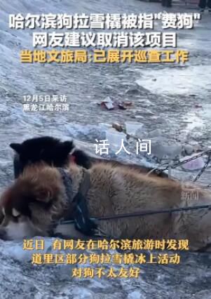 哈爾濱回應網友建議取消狗拉爬犁 系私人經營正在整治勸離