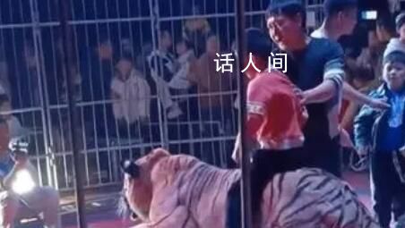廣西一馬戲團(tuán)讓孩子騎老虎拍照 文旅局回應(yīng)：未審批該表演