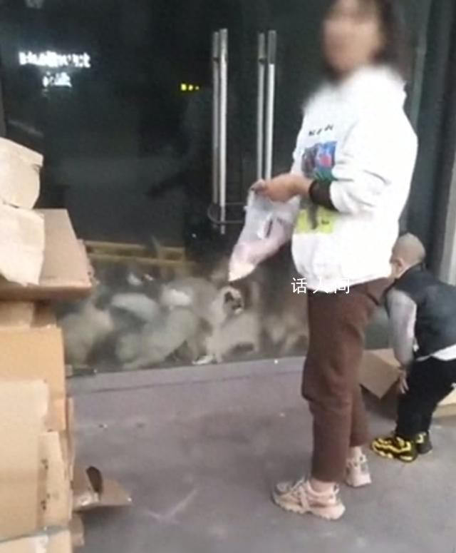 20余只貓被鎖店里餓到自相殘殺 店鋪散發(fā)陣陣惡臭