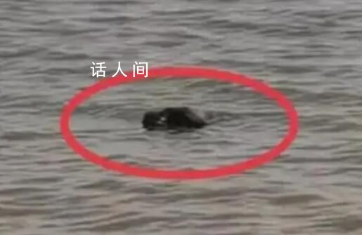 深圳警方通報(bào)發(fā)現(xiàn)浮尸:排除刑案