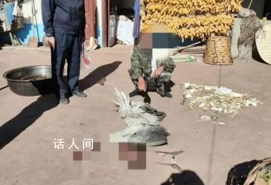 男子殺害“高原神鳥”烹食被刑拘 案件正在進一步偵辦中