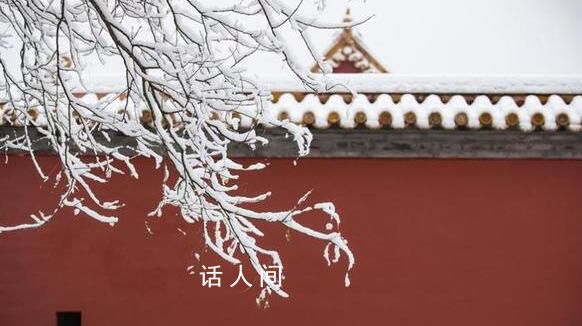 紅墻白雪 故宮的雪景也太美了
