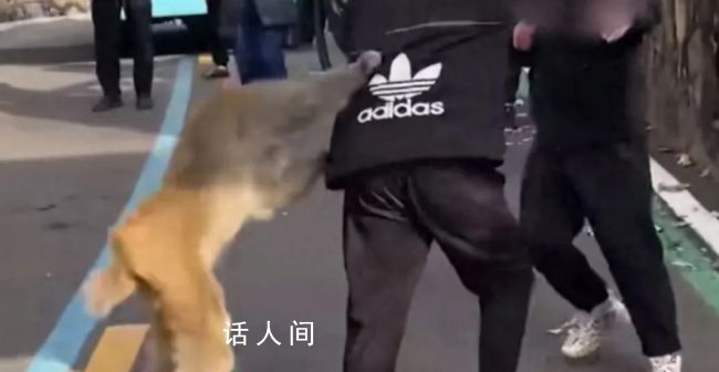 猴子強搶男子食物被踢開 景區回應
