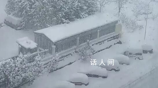 山東威海暴雪積雪厚度驚呆網(wǎng)友 全山東的雪都下到威海去了