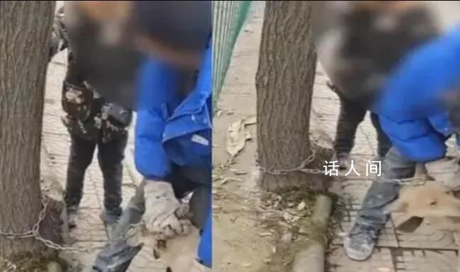 男孩哭著阻攔父親賣狗被罵滾一邊 最終還是800元賣掉了狗