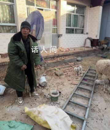 震區村民廢墟中救出13只羊 等情況好轉還要多養