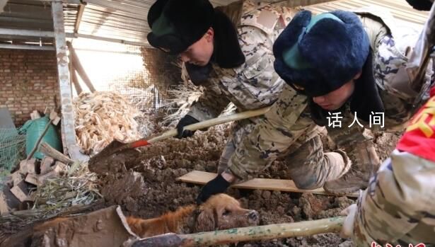 金毛震后泥漿被困30小時獲救 每一個生命都應(yīng)該被尊重