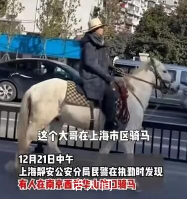 男子騎馬進(jìn)入上海被行政處罰 影響現(xiàn)場(chǎng)秩序和車(chē)輛通行