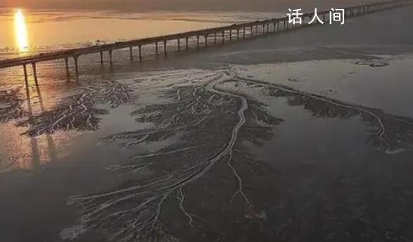 錢塘江被凍住了 畫面實(shí)在是太震撼了