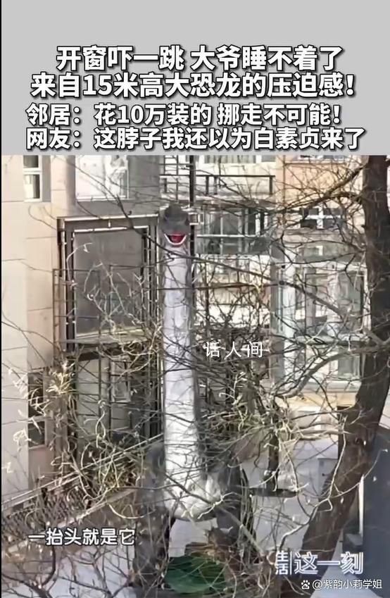 北京一居民花10萬買高15米大恐龍 引起了鄰居們的關注和討論