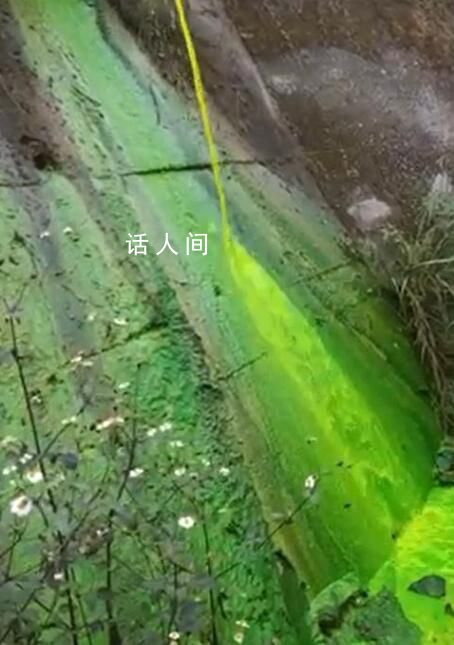 公園管道排出綠色液體 官方回應
