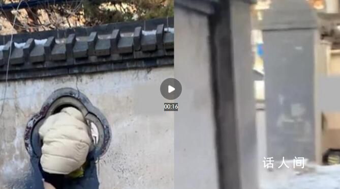 女子拿快遞為抄近路每次都鉆洞 網(wǎng)友：你是一點也不往旁邊看啊