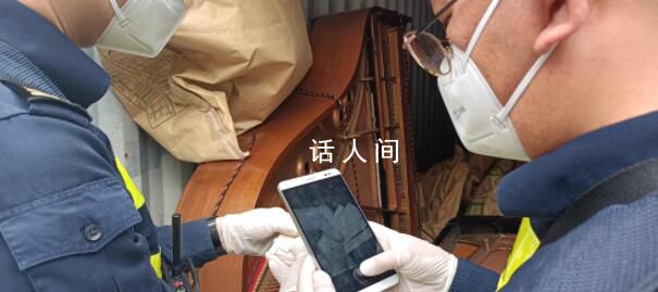 上海海關查獲象牙琴鍵507克 洋山海關已對貨物依法暫扣