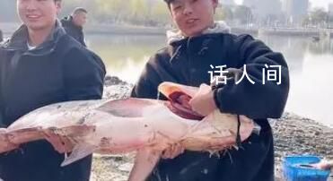高校內湖撈3000斤魚直送食堂 為師生做鮮美的全魚宴