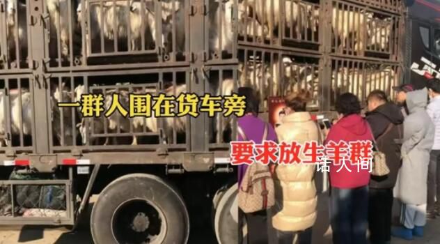 中年男女站在載羊貨車旁要求放生 不評(píng)價(jià)行為只關(guān)心交易