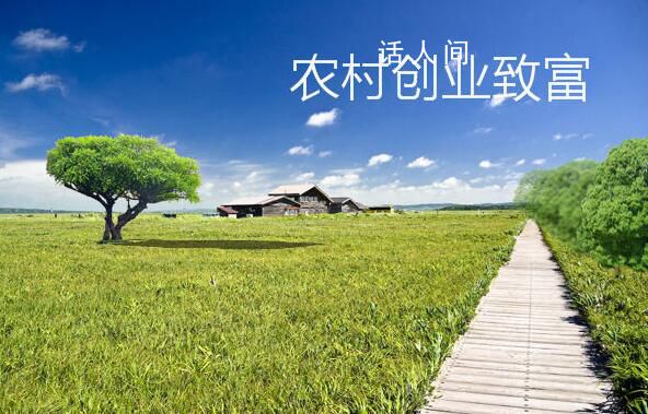 農村創業項目大全排行榜 農村創業點子大全