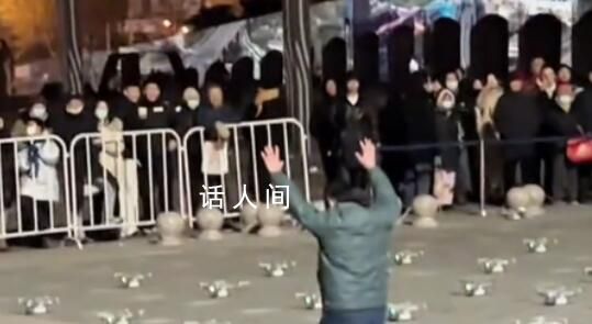 跨年無人機表演取消 疑有人下跪道歉