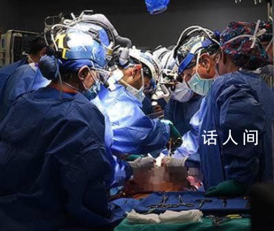 “器官短缺”困境有望被打破 我國(guó)基因編輯豬器官相關(guān)研究穩(wěn)步推進(jìn)