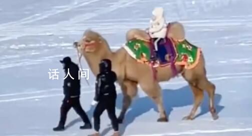 哈爾濱雪地里有駱駝了 以前從來(lái)沒(méi)有這些項(xiàng)目