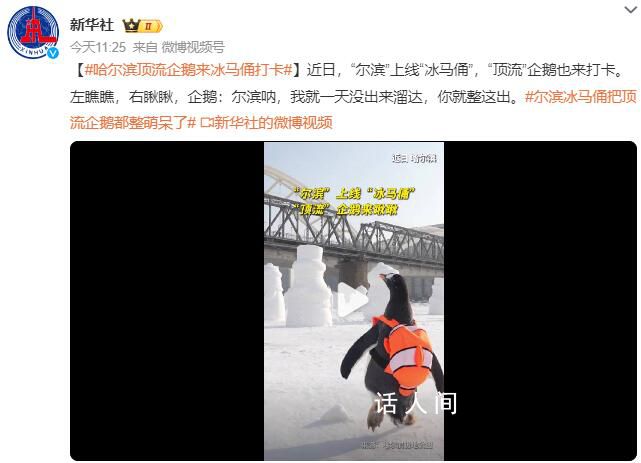 爾濱上線“冰馬俑” 頂流企鵝也來打卡