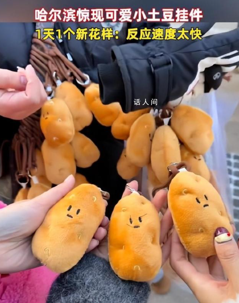 哈爾濱驚現小土豆掛件 圓圓乎乎超級可愛
