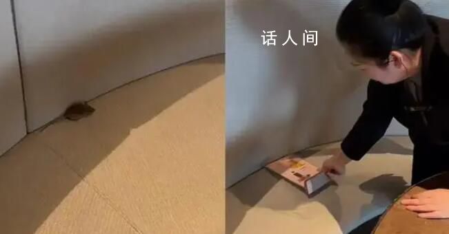 幼兒園突然閉園?教育部門:正調查