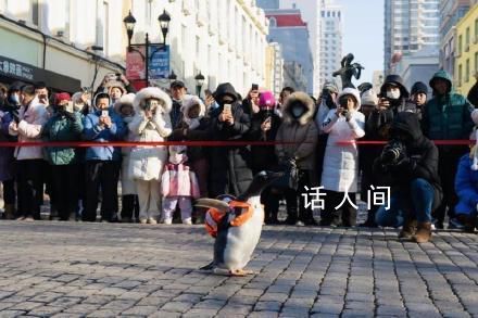 哈爾濱旅游是如何火出圈的 哈爾濱旅游為什么這么火