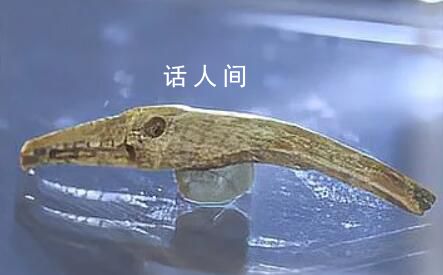 黑龍江不只有冰雕還有骨雕 遠古肅慎族用一根獸骨把鷹雕活了