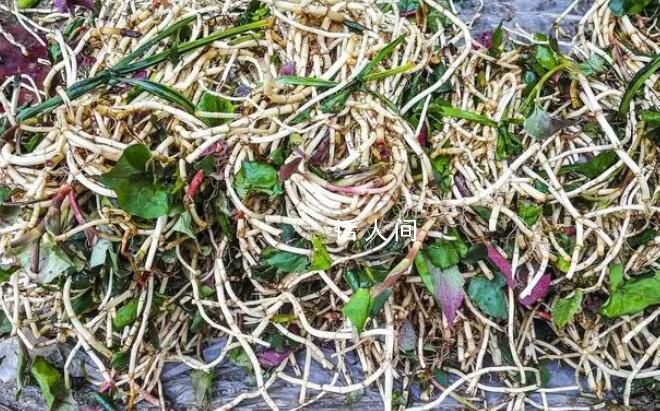 貴州小折耳根抵達哈爾濱 還給大家準備了可愛的老虎帽